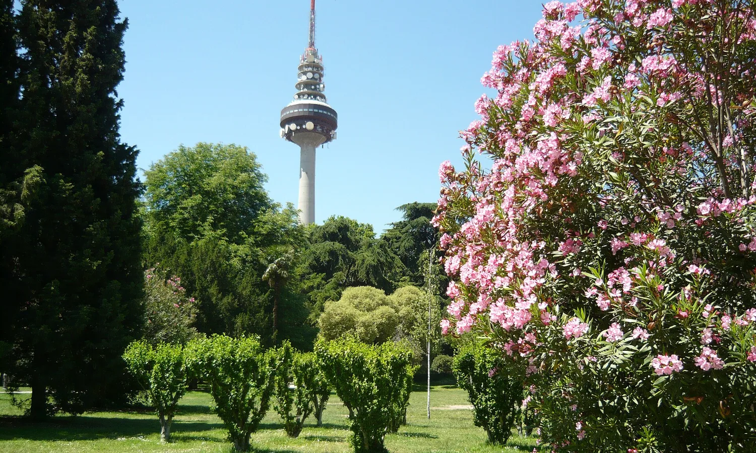 Barrio Salamanca Fuente Berro