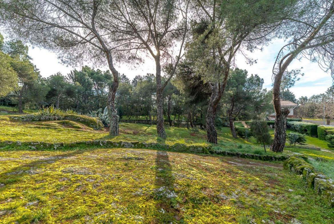 Chalet Gran Parcela Jardin