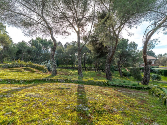 Chalet Gran Parcela Jardin