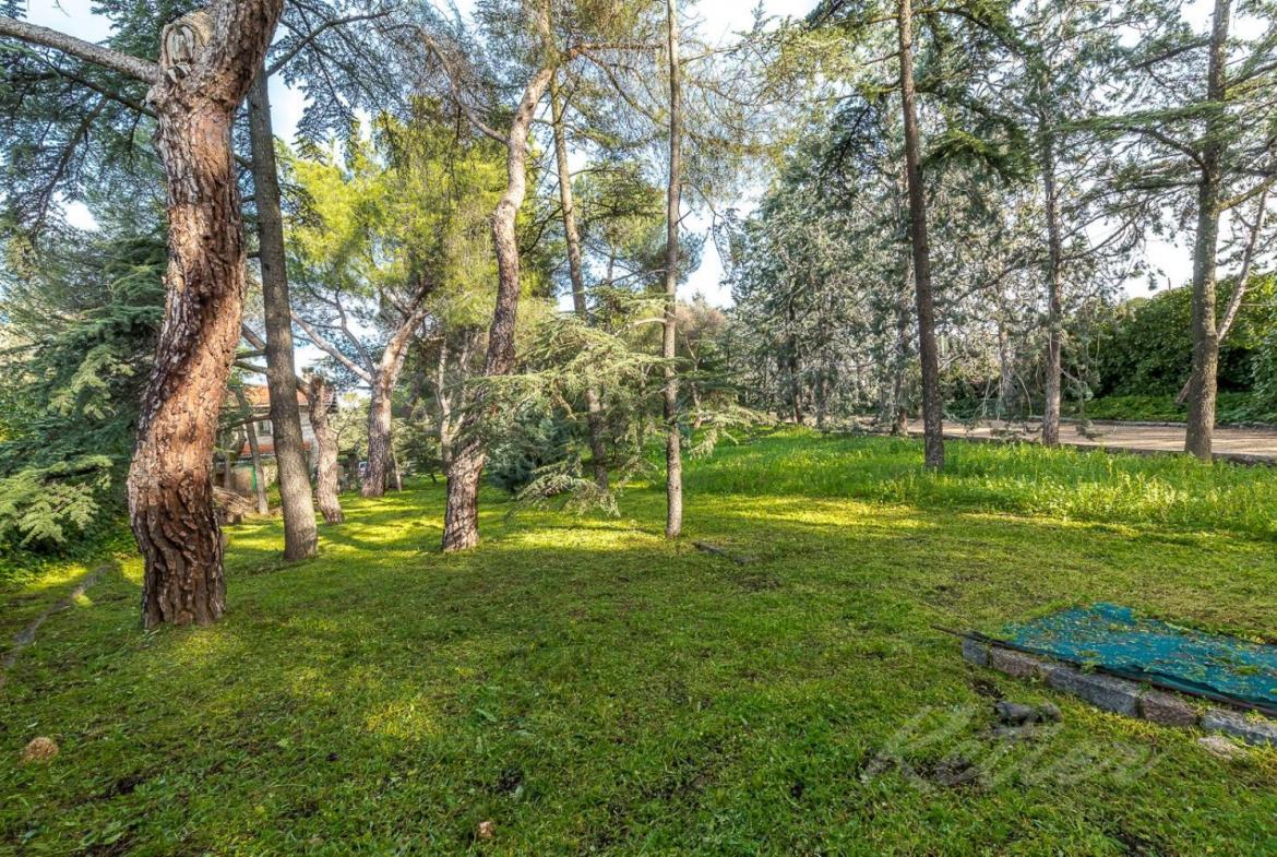 Chalet Gran Parcela Jardin