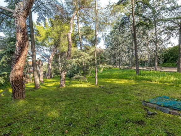 Chalet Gran Parcela Jardin