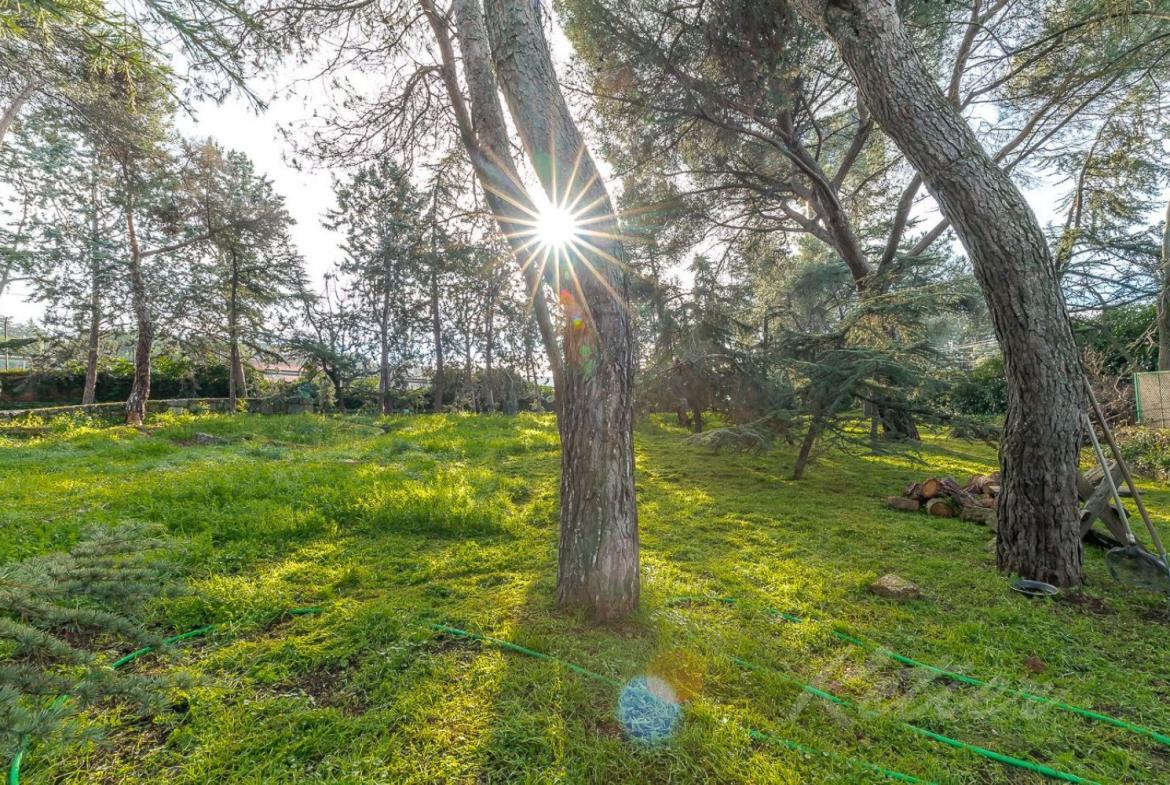 Chalet Gran Parcela Jardin