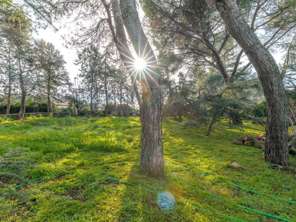 Chalet Gran Parcela Jardin