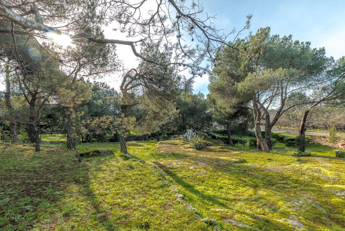 Chalet Gran Parcela Jardin