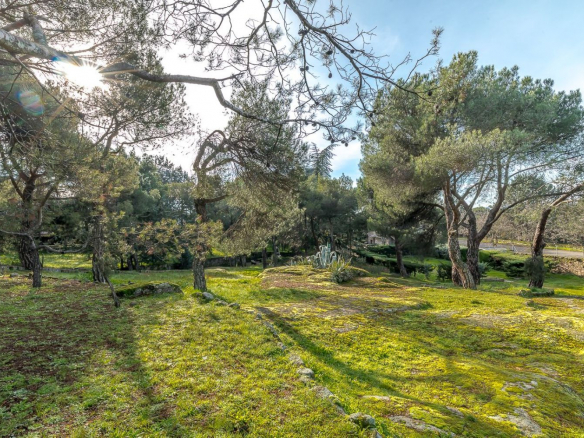 Chalet Gran Parcela Jardin