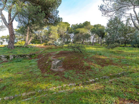 Chalet Gran Parcela Jardin