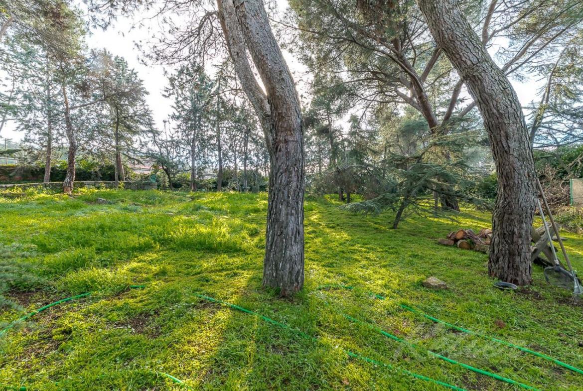 Chalet Gran Parcela Jardin