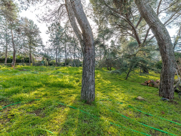 Chalet Gran Parcela Jardin