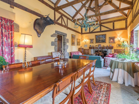 Chalet Gran Parcela Salon