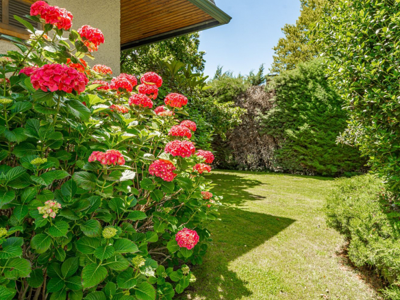 Chalet Independiente Boadilla del Monte Jardin