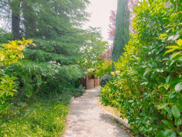 Chalet Independiente Las Rozas de Madrid Jardin