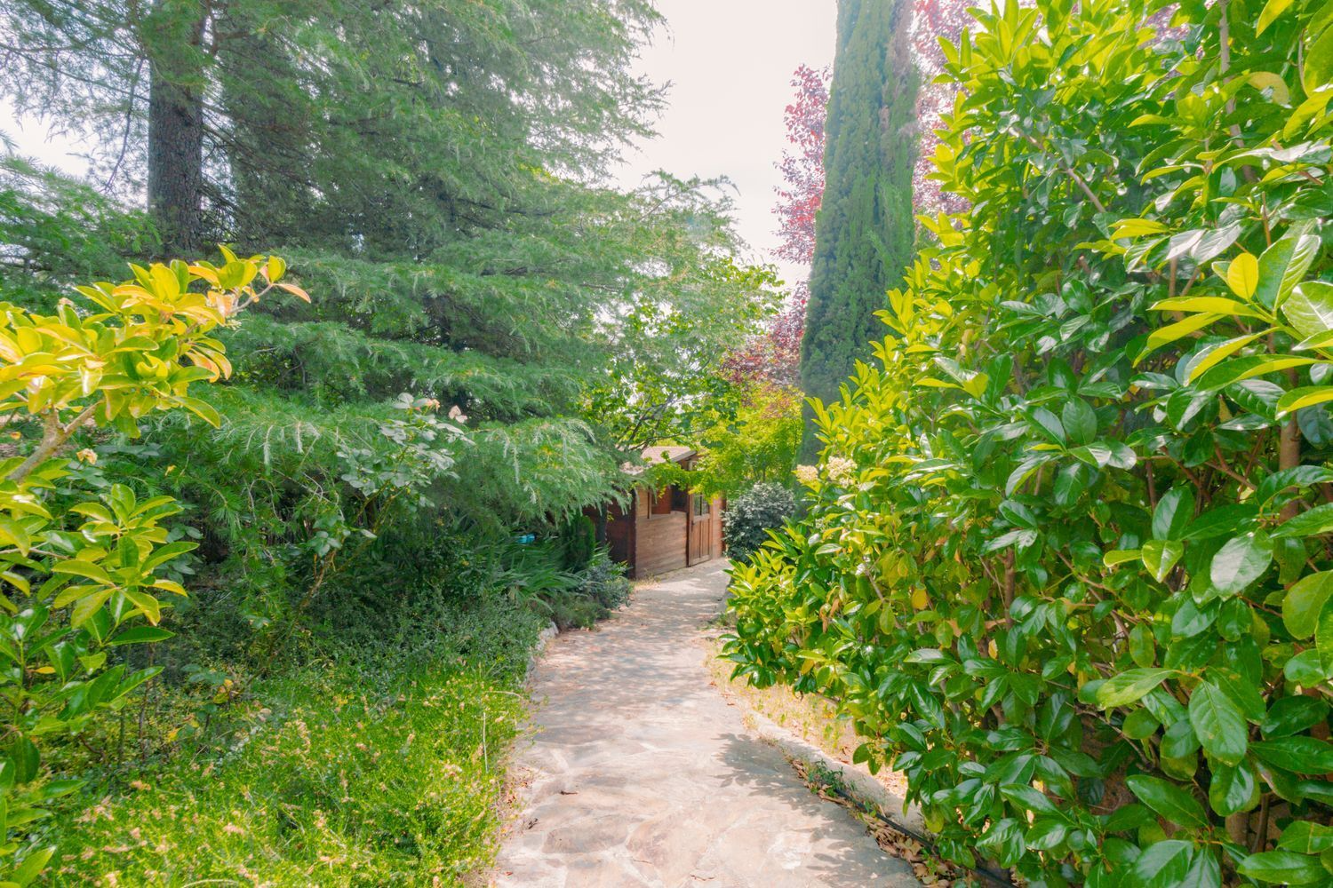 Chalet Independiente Las Rozas de Madrid Jardin