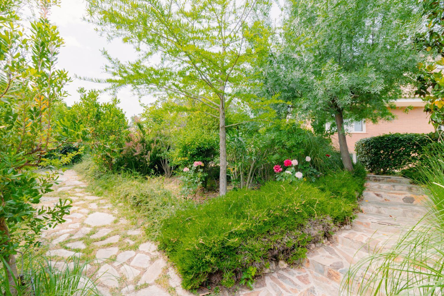 Chalet Independiente Las Rozas de Madrid Jardin