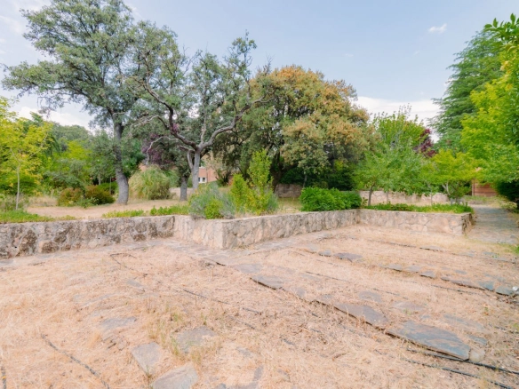 Chalet Independiente Las Rozas de Madrid Jardin