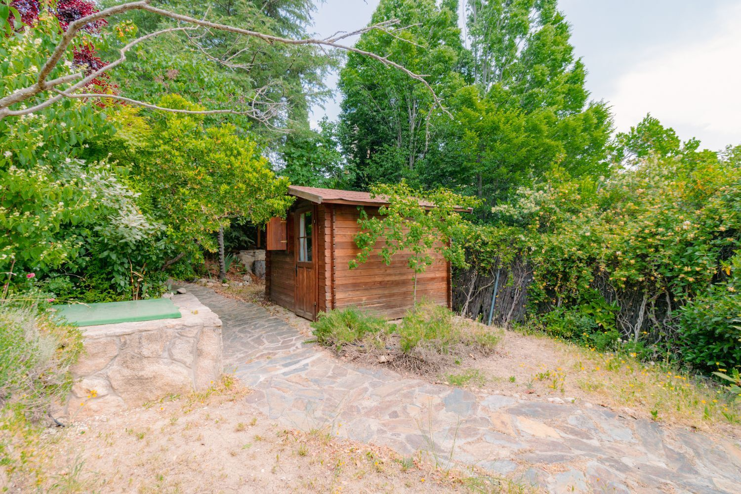 Chalet Independiente Las Rozas de Madrid Jardin