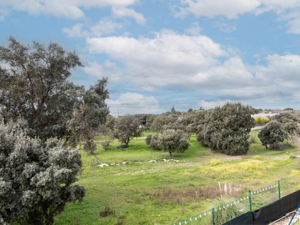 Chalet Independiente en Boadilla del Monte Jardin