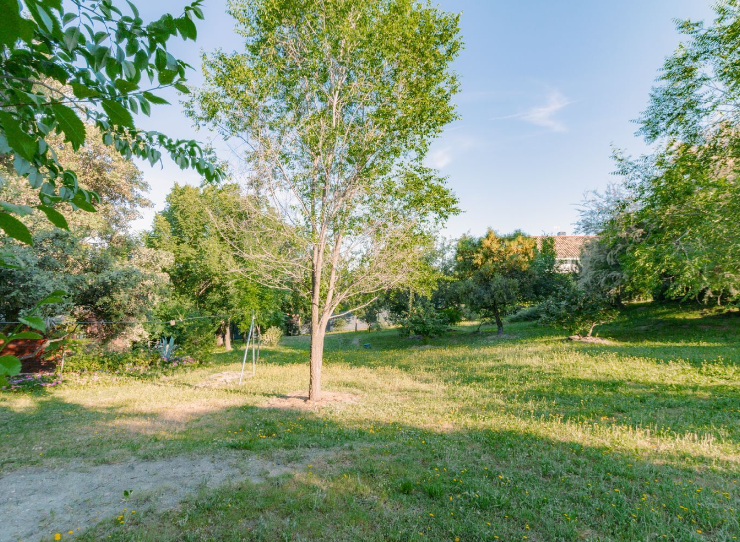 Chalet-Independiente-en-Las-Rozas-de-Madrid-Jardin-03