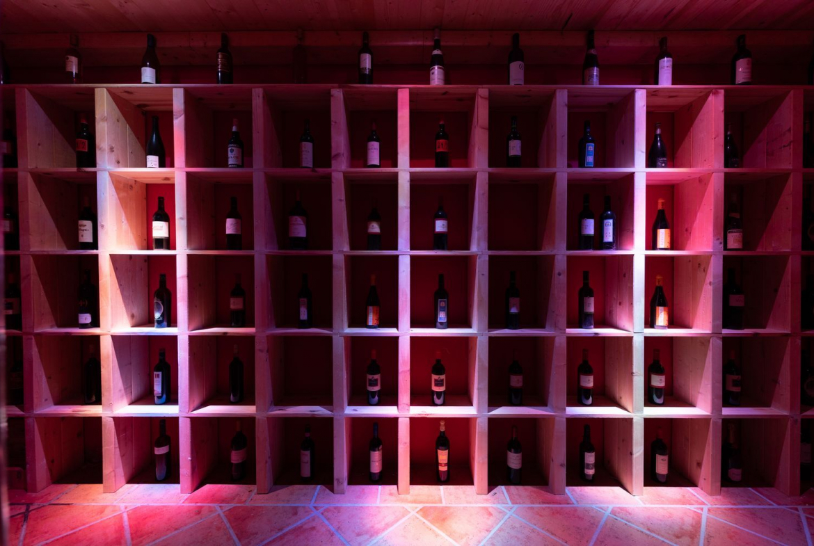 Chalet Lujo Villafranca Bodega
