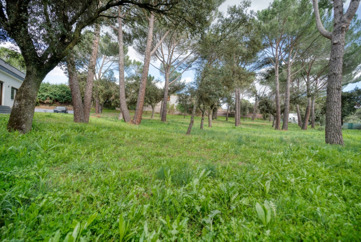 Chalet Prado Largo Exterior