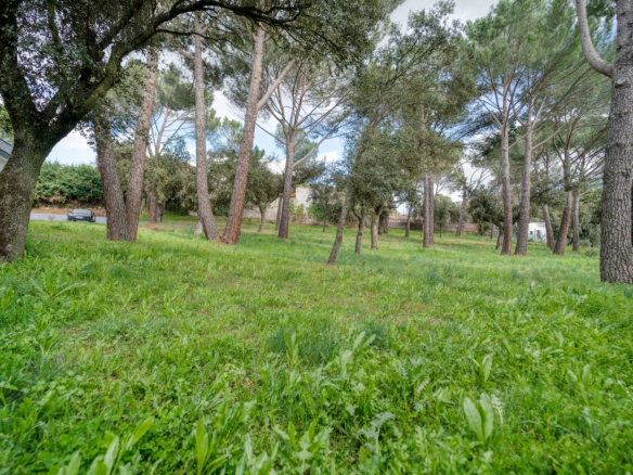Chalet Prado Largo Exterior
