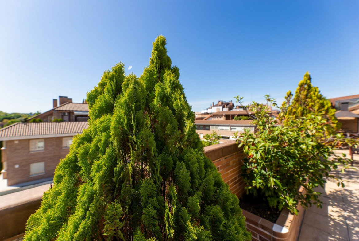 Duplex Valdemarin Terraza