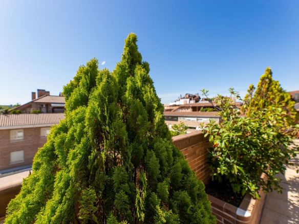 Duplex Valdemarin Terraza