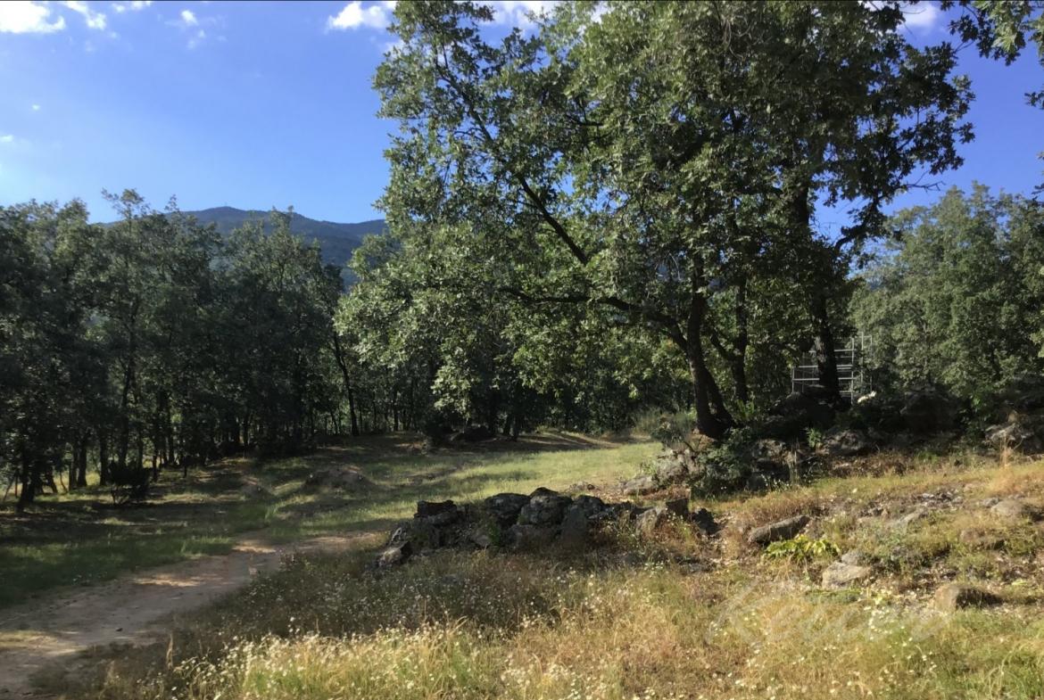 Finca en Avila Entorno