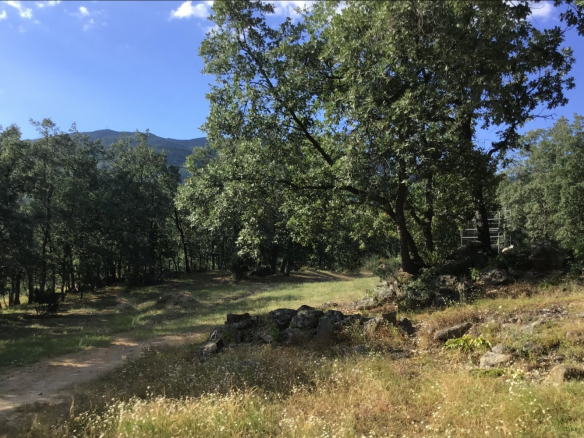 Finca en Avila Entorno