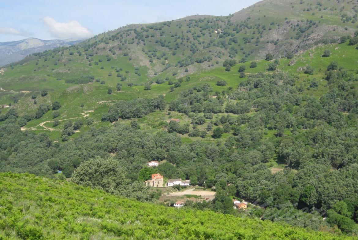 Finca en Avila Entorno