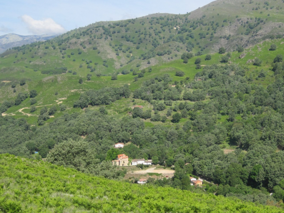Finca en Avila Entorno