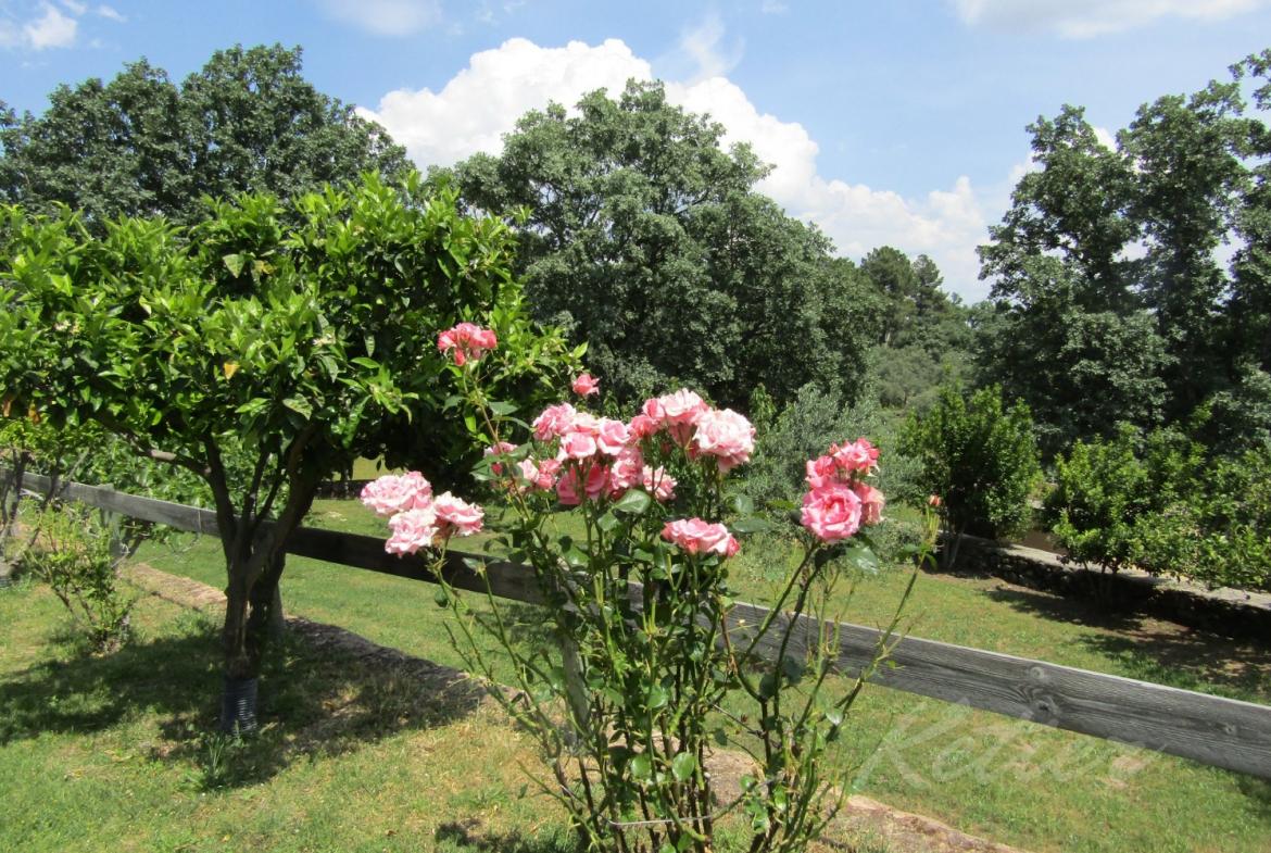 Finca en Avila Jardin