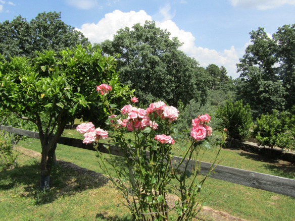 Finca en Avila Jardin