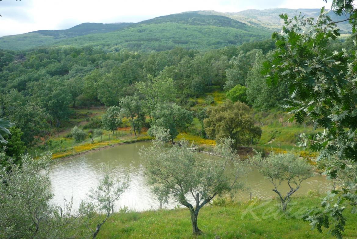 Finca en Avila Pantano