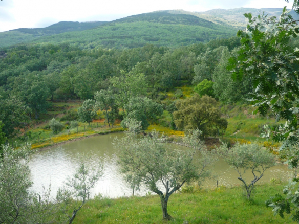 Finca en Avila Pantano