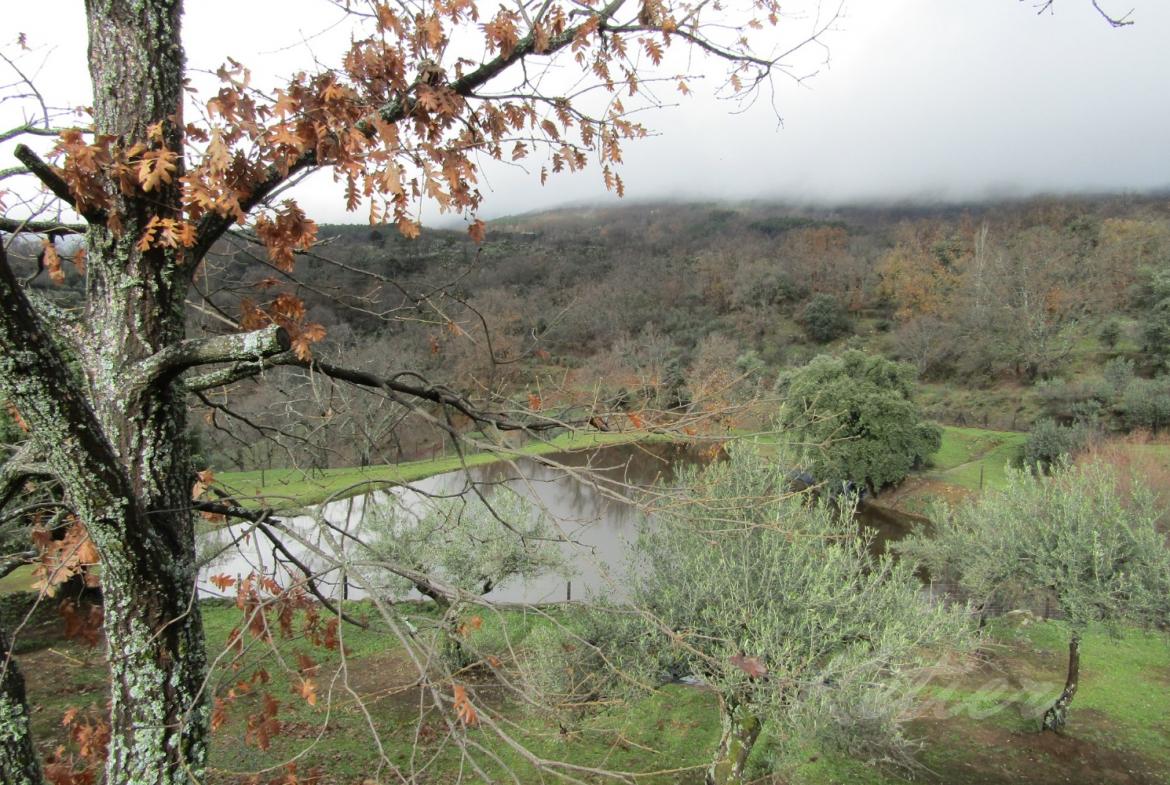 Finca en Avila Pantano