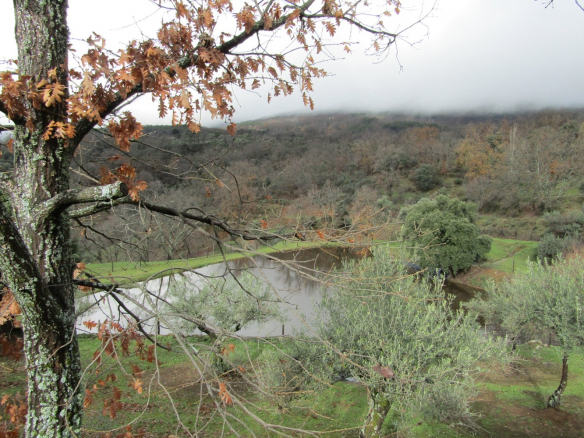 Finca en Avila Pantano
