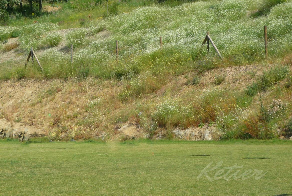 Finca en Avila Terreno