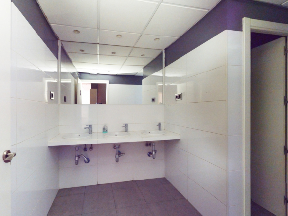 Local Comercial en Madrid Bano