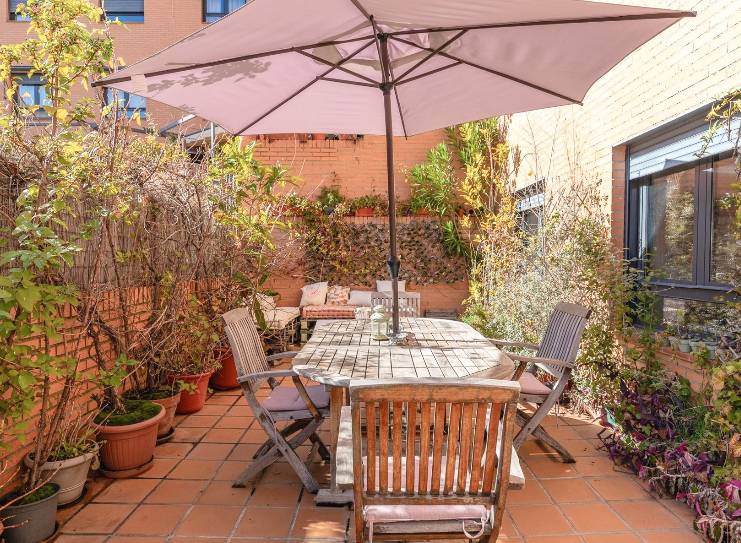 Piso-Bajo-con-Terraza-Terraza-01