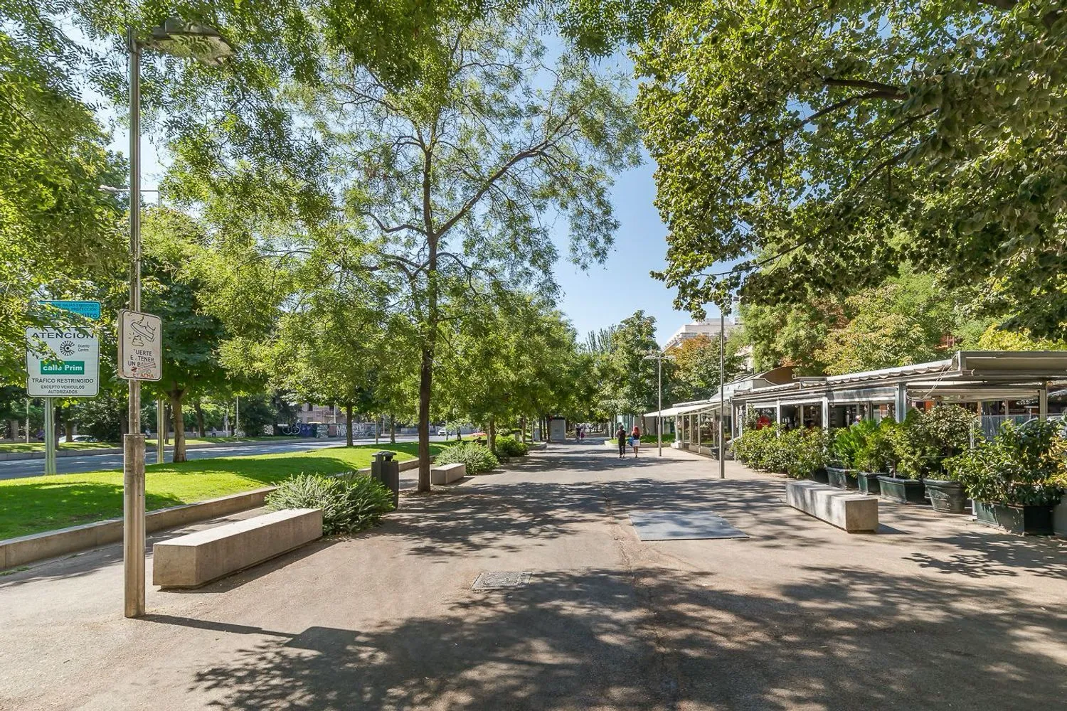 Piso Lujo Recoletos Barrio