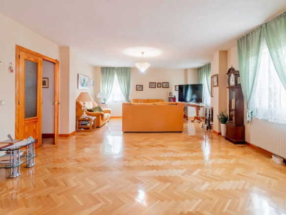 chalet pareado monte rozas salon