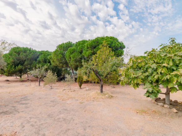 chalet pareado monte rozas exterior parcela