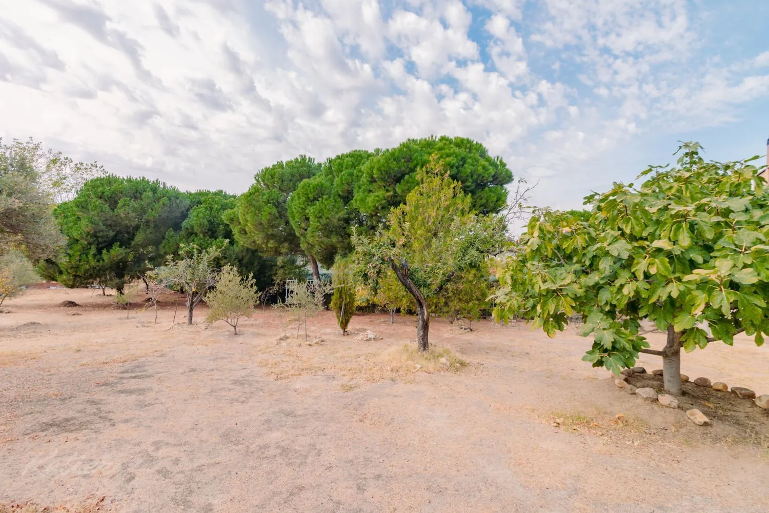 chalet pareado monte rozas exterior parcela