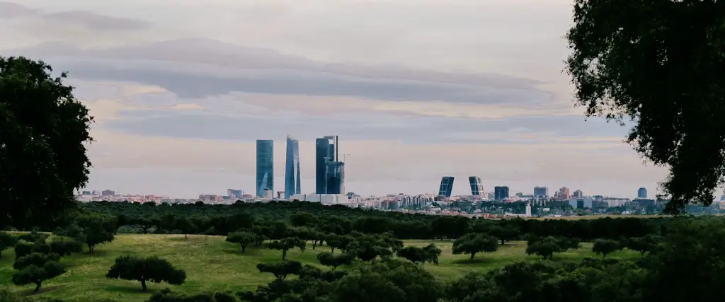 Views of Madrid from Monte de El Pardo