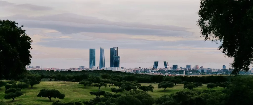 Vistas de Madrid desde Monte de El Pardo
